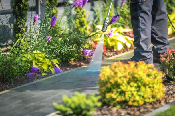 Best Animal Enclosure Cleaning  in Manatee Road, FL